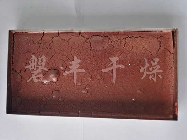 鱷魚血凍干